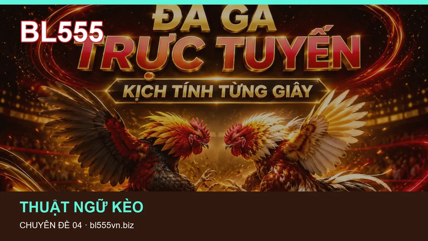 Hình minh họa bài viết BL555