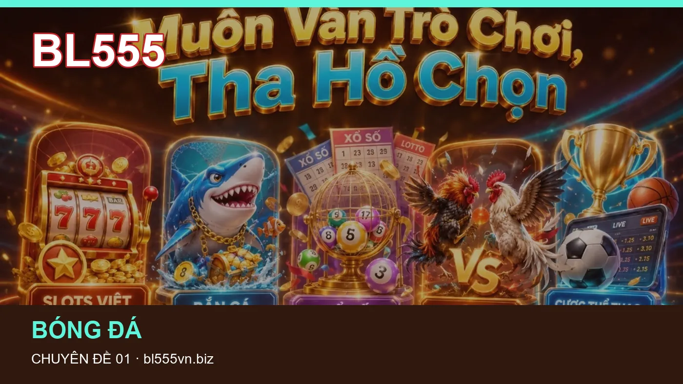 Những nhầm lẫn thường gặp khi đọc nội dung An toàn trên BL555
